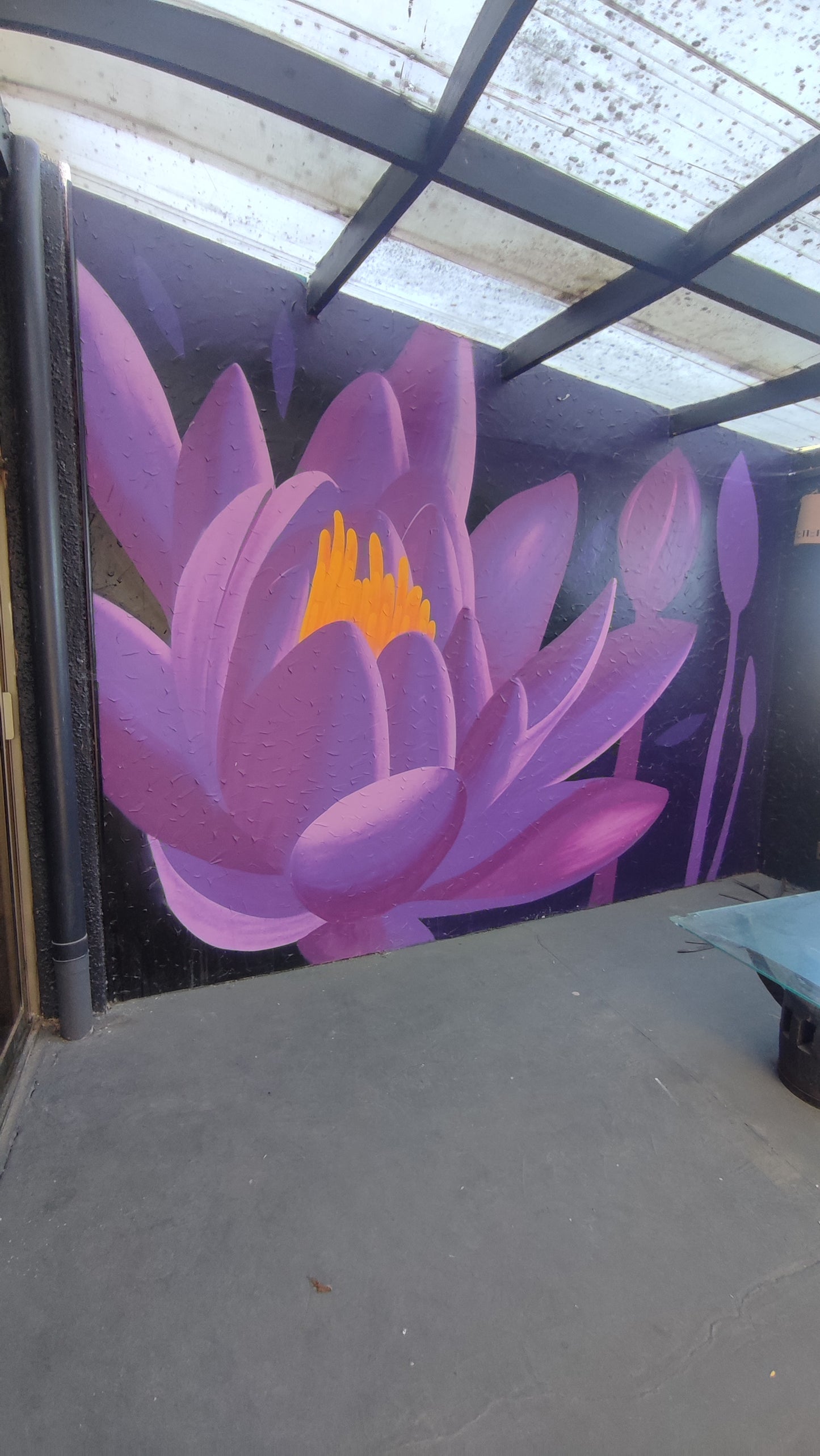 PLAN MENSUAL DICIEMBRE NATACION PISCINA TEMPERADA QUILPUÉ 🏊