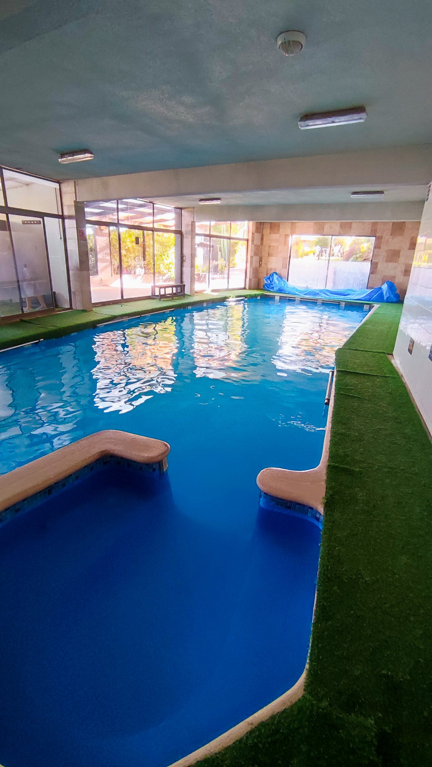 PLAN MENSUAL DICIEMBRE NATACION PISCINA TEMPERADA QUILPUÉ 🏊