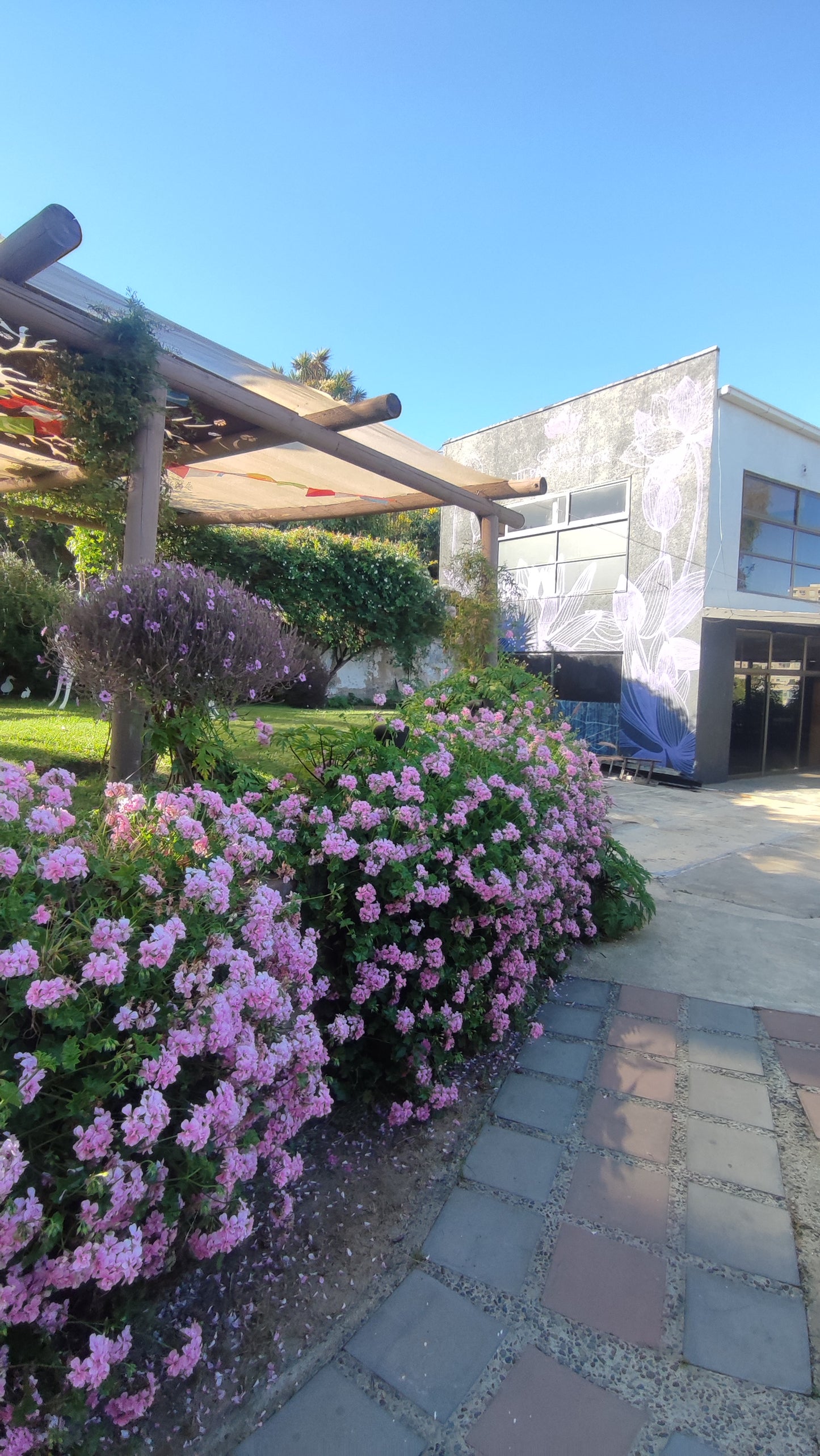 PLAN MENSUAL DICIEMBRE NATACION PISCINA TEMPERADA QUILPUÉ 🏊